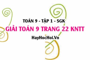 Giải Toán 9 trang 22 tập 1 Kết nối tri thức SGK